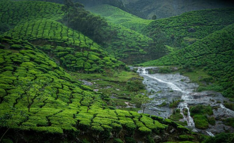 Provin group tour photograph 55